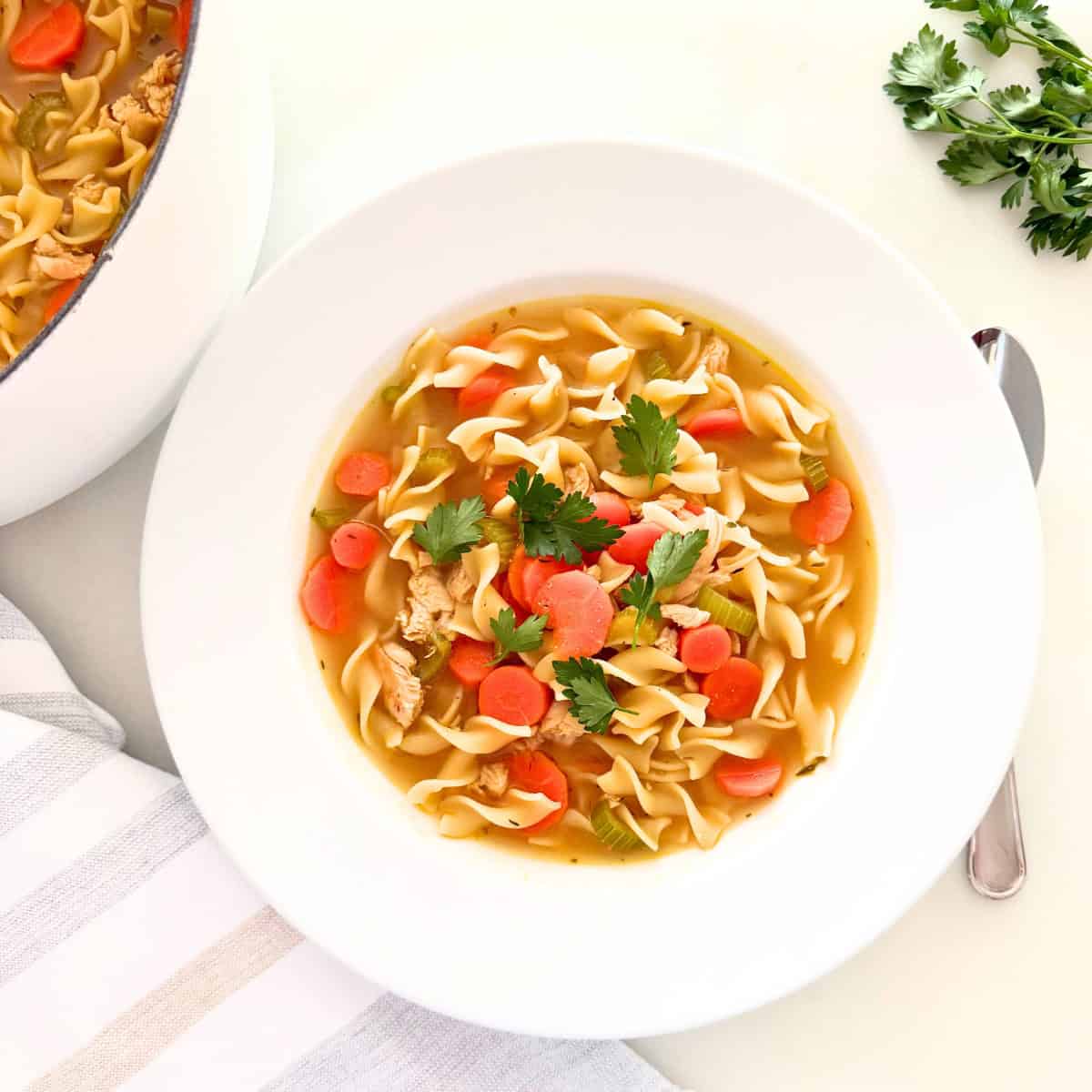 bowl of chicken noodle soup
