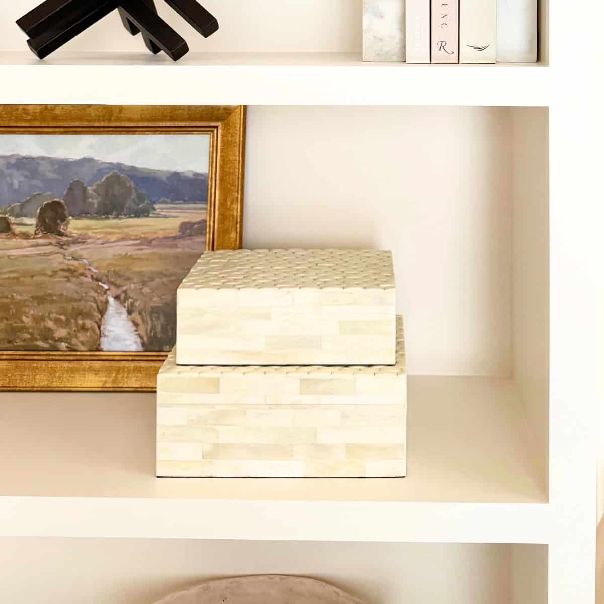 neutral decorative bone boxes styled in bookcase