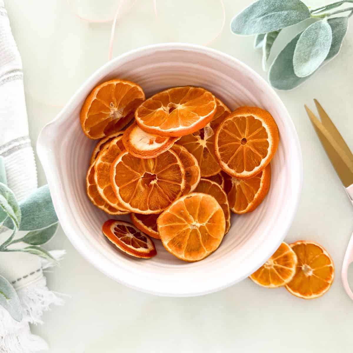 dried orange slices to make garland