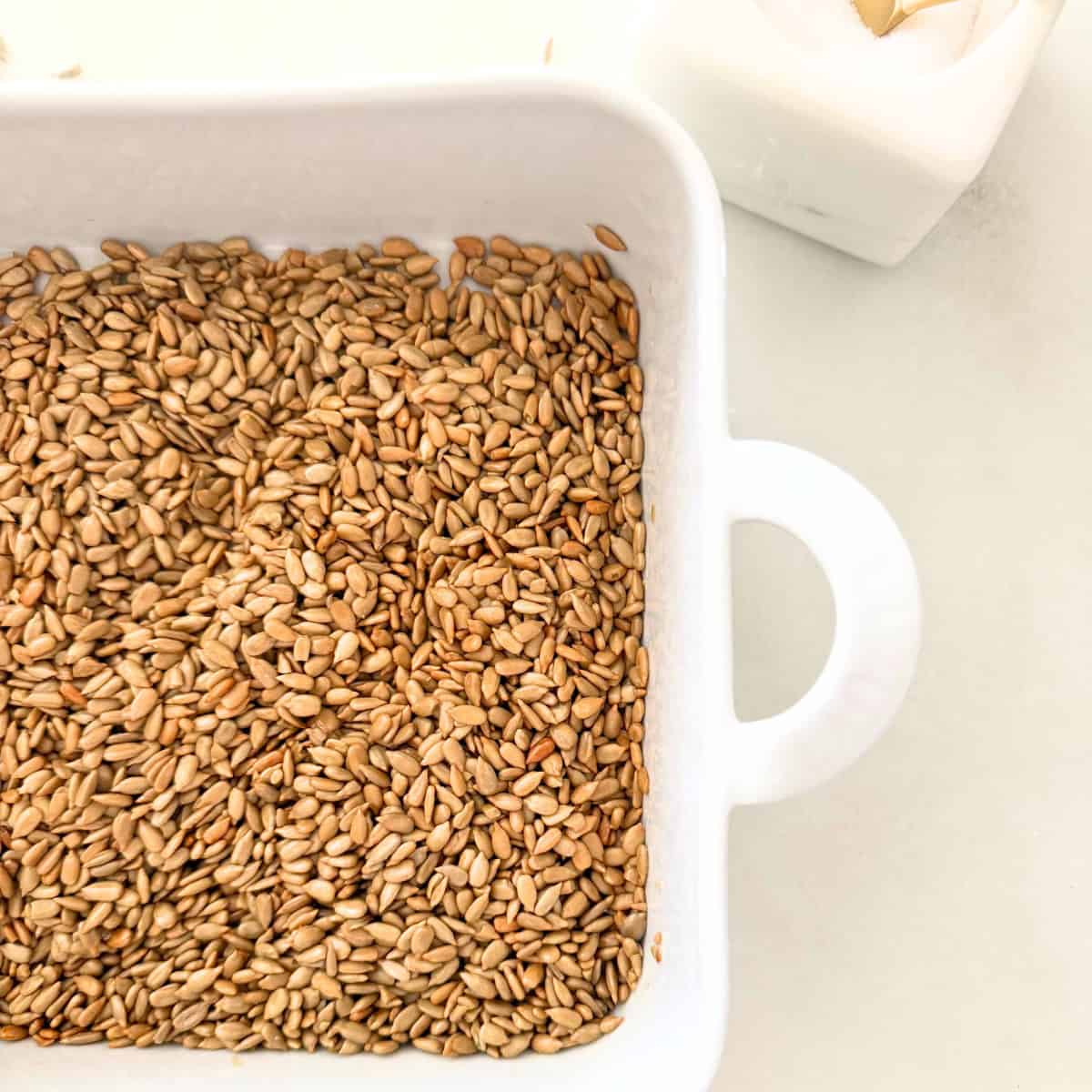 baker pan with homemade roasted sunflower seed kernels