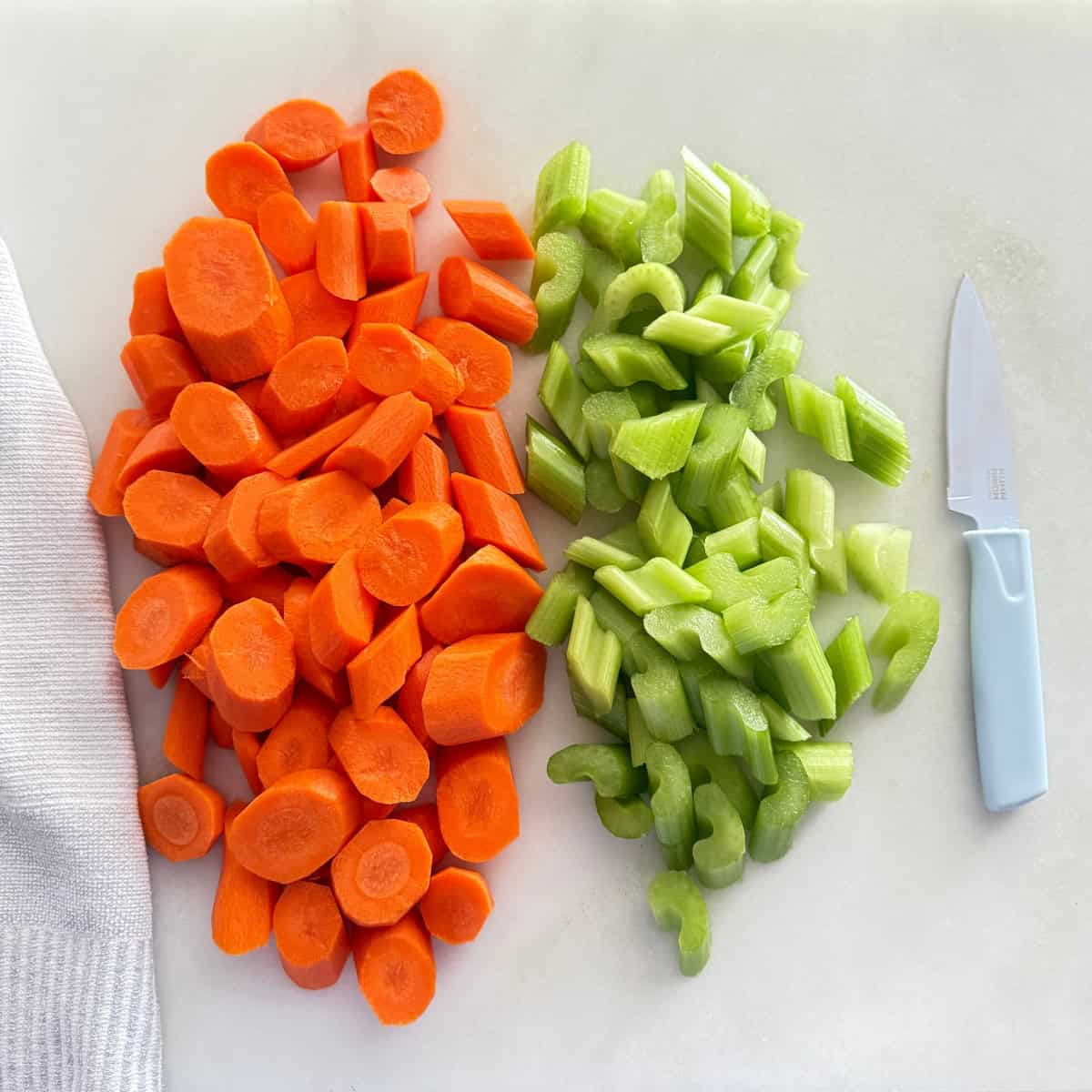 large chopped carrots and celery pieces