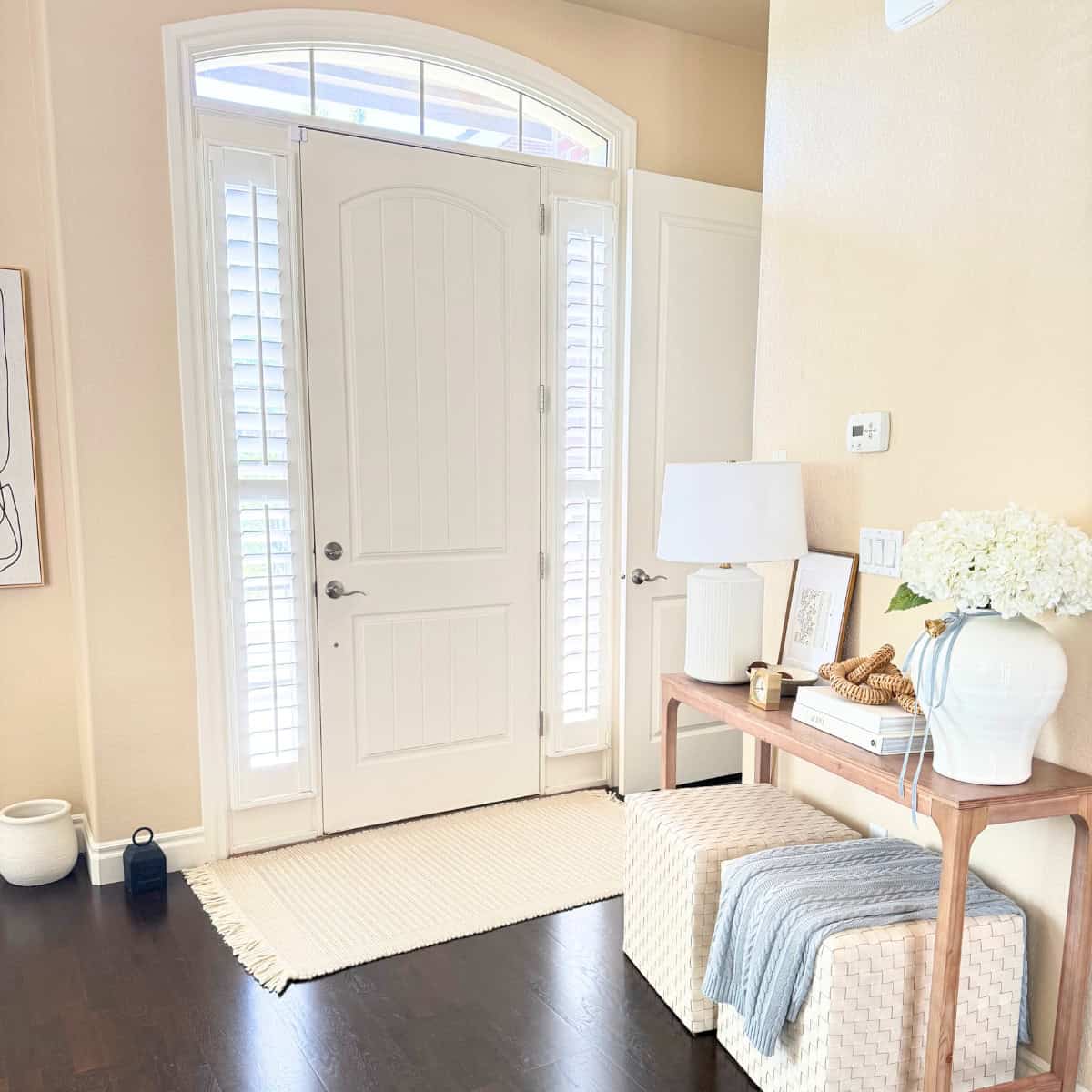 ivory rug spanning door and side lites