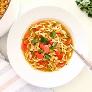 bowl of homemade chicken noodle soup