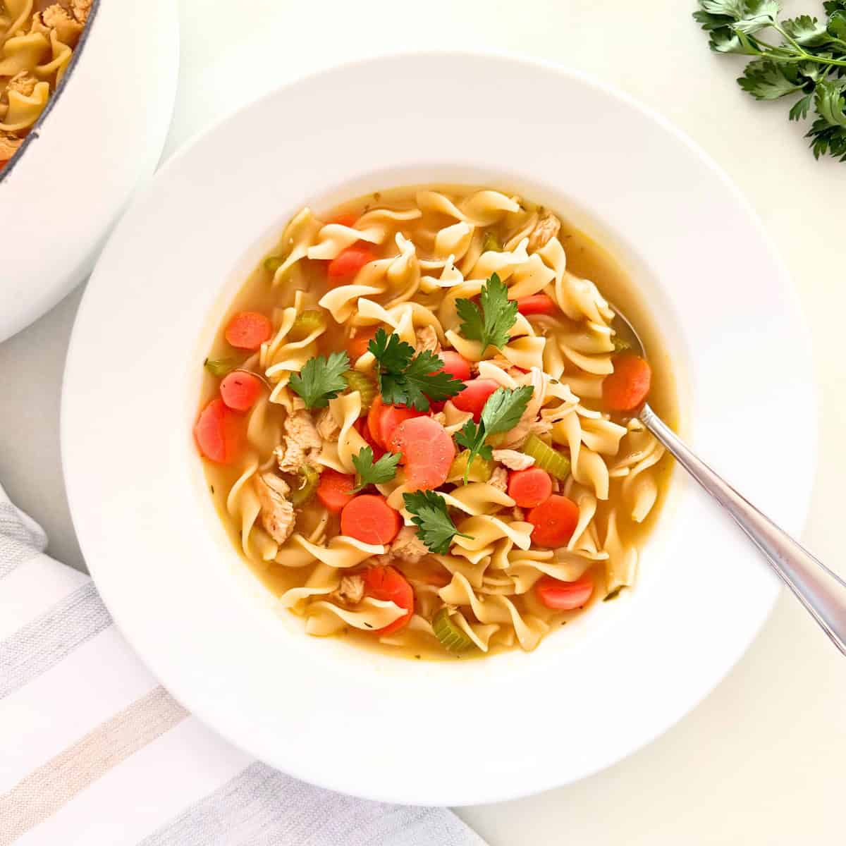 bowl of homemade chicken noodle soup
