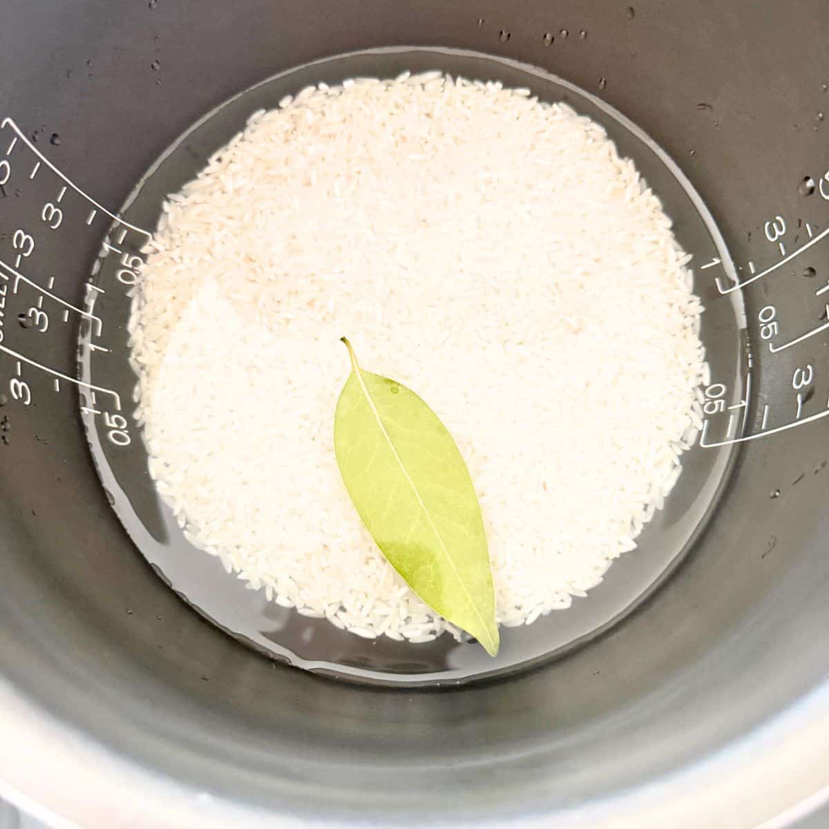 uncooked white rice in rice cooker with bay leaf